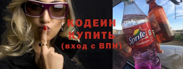 хмурый Вяземский