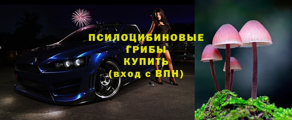 хмурый Вяземский