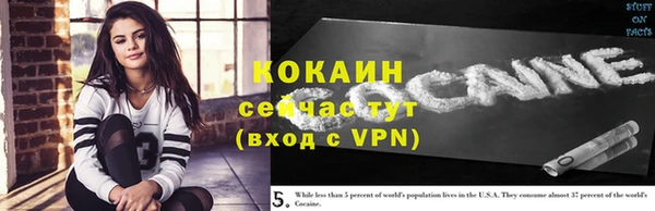 хмурый Вяземский