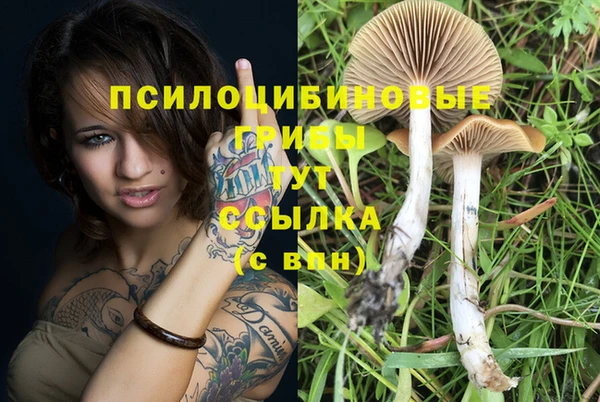 хмурый Вяземский