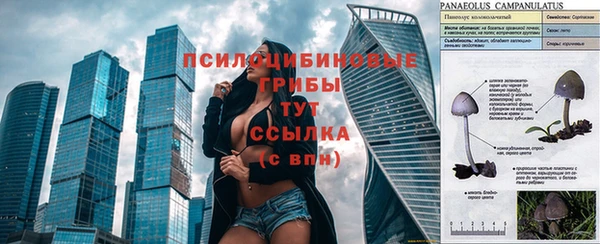 гидропоника Вязники