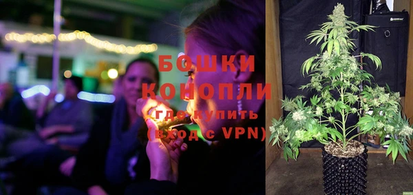 хмурый Вяземский