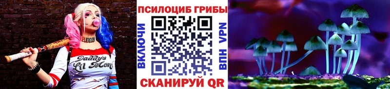 Псилоцибиновые грибы Psilocybine cubensis  Прокопьевск 